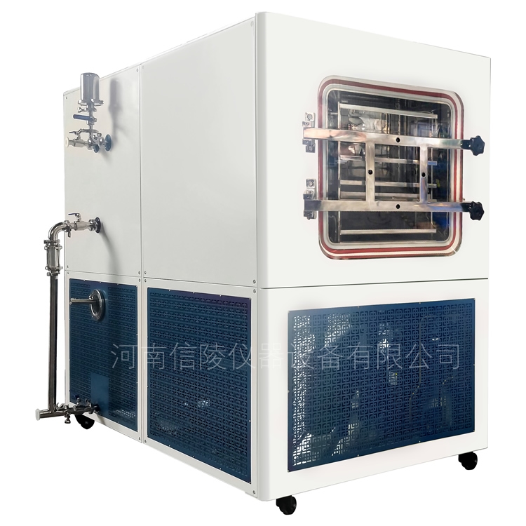 中试生产2平方硅油加热真空冻干机20升VC粉